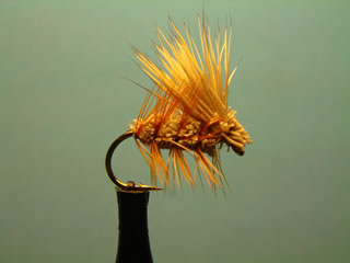 Irresitible Elk Hair Caddis (10-18)